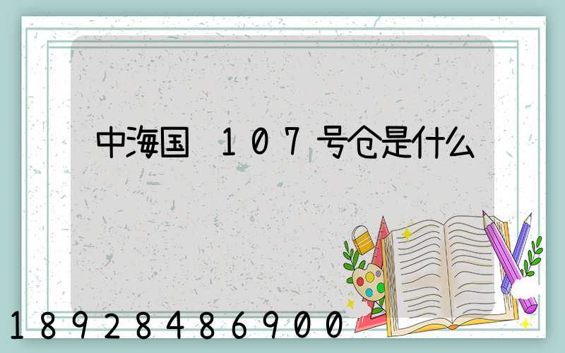 中海国贸107号仓是什么