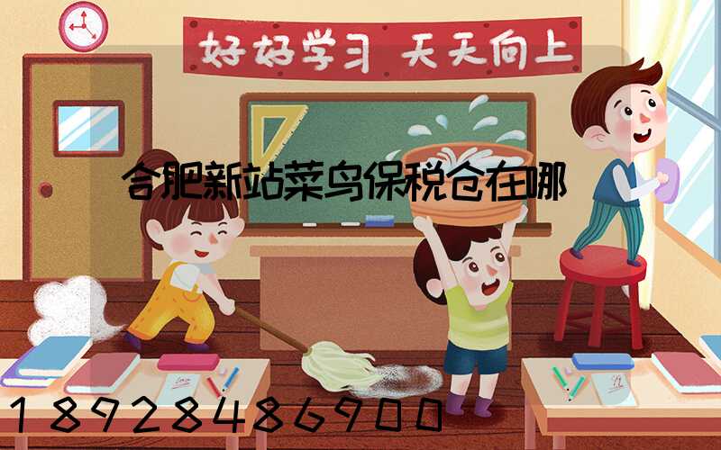 合肥新站菜鸟保税仓在哪