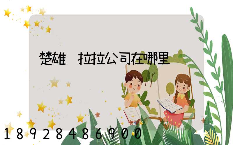 楚雄货拉拉公司在哪里