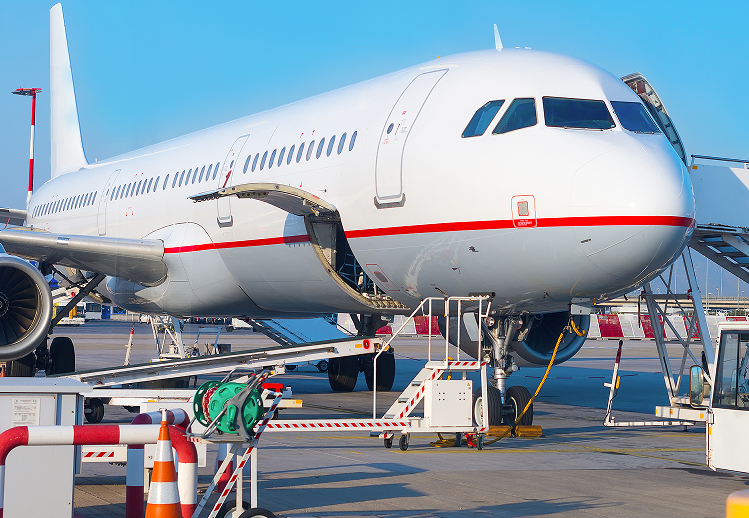 �羳���������걨