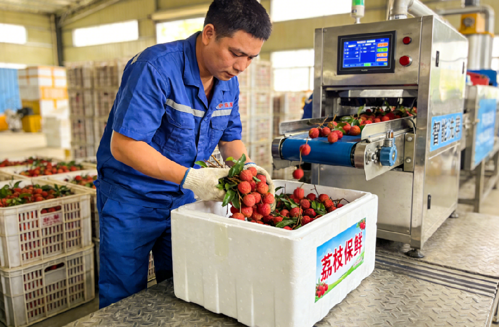 ������������ƾ֣��ӻ��ҵ�Ч��ȫ��ͨ����Ϯ