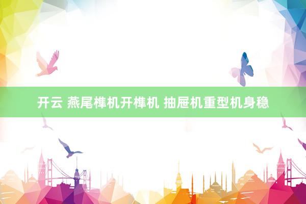 开云 燕尾榫机开榫机 抽屉机重型机身稳