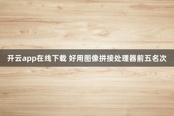 开云app在线下载 好用图像拼接处理器前五名次