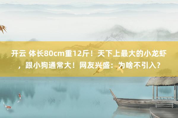 开云 体长80cm重12斤！天下上最大的小龙虾，跟小狗通常大！网友兴盛：为啥不引入？