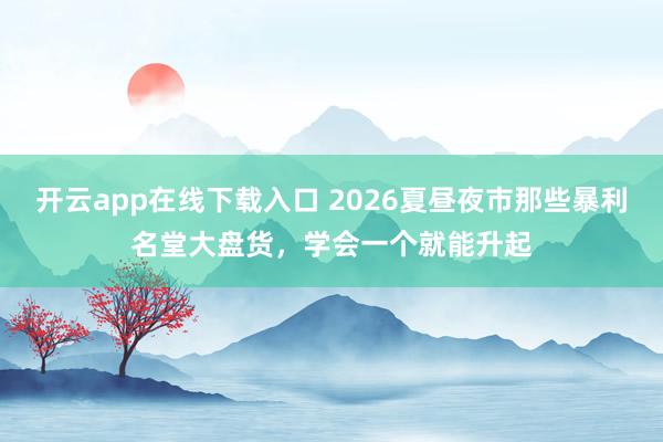 开云app在线下载入口 2026夏昼夜市那些暴利名堂大盘货，学会一个就能升起