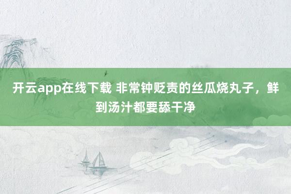 开云app在线下载 非常钟贬责的丝瓜烧丸子，鲜到汤汁都要舔干净